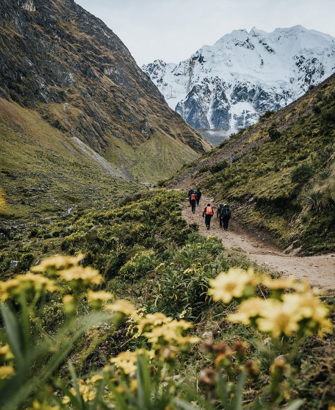 Salkantay Trek